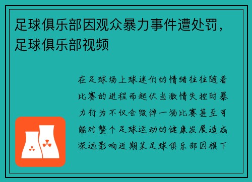 足球俱乐部因观众暴力事件遭处罚，足球俱乐部视频